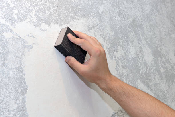 Best Commercial Mold Inspection  in Ivanhoe, CA