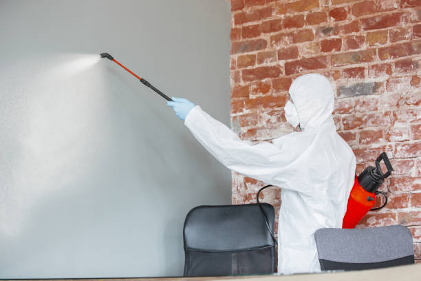 Best Asbestos and Lead Testing During Mold Inspection  in Ivanhoe, CA